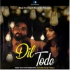 About Dil Tode Song
